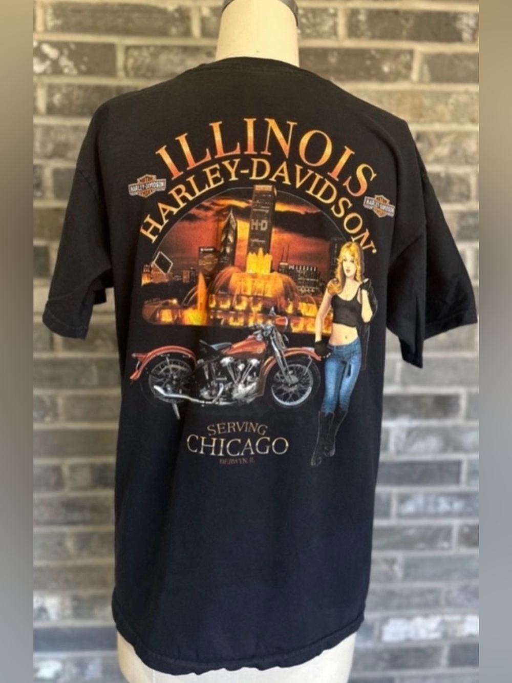 Harley-Davidson Willie G Skull Chicago Dealer Biker T Shirt Men’s M Black